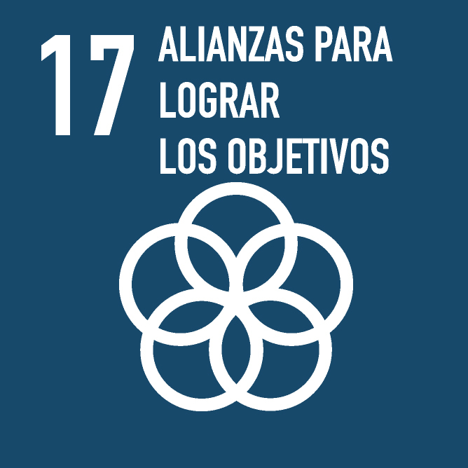 Dimension - Objetivo 17. Fortalecer los medios de ejecución y revitalizar la Alianza Mundial para el Desarrollo Sostenible