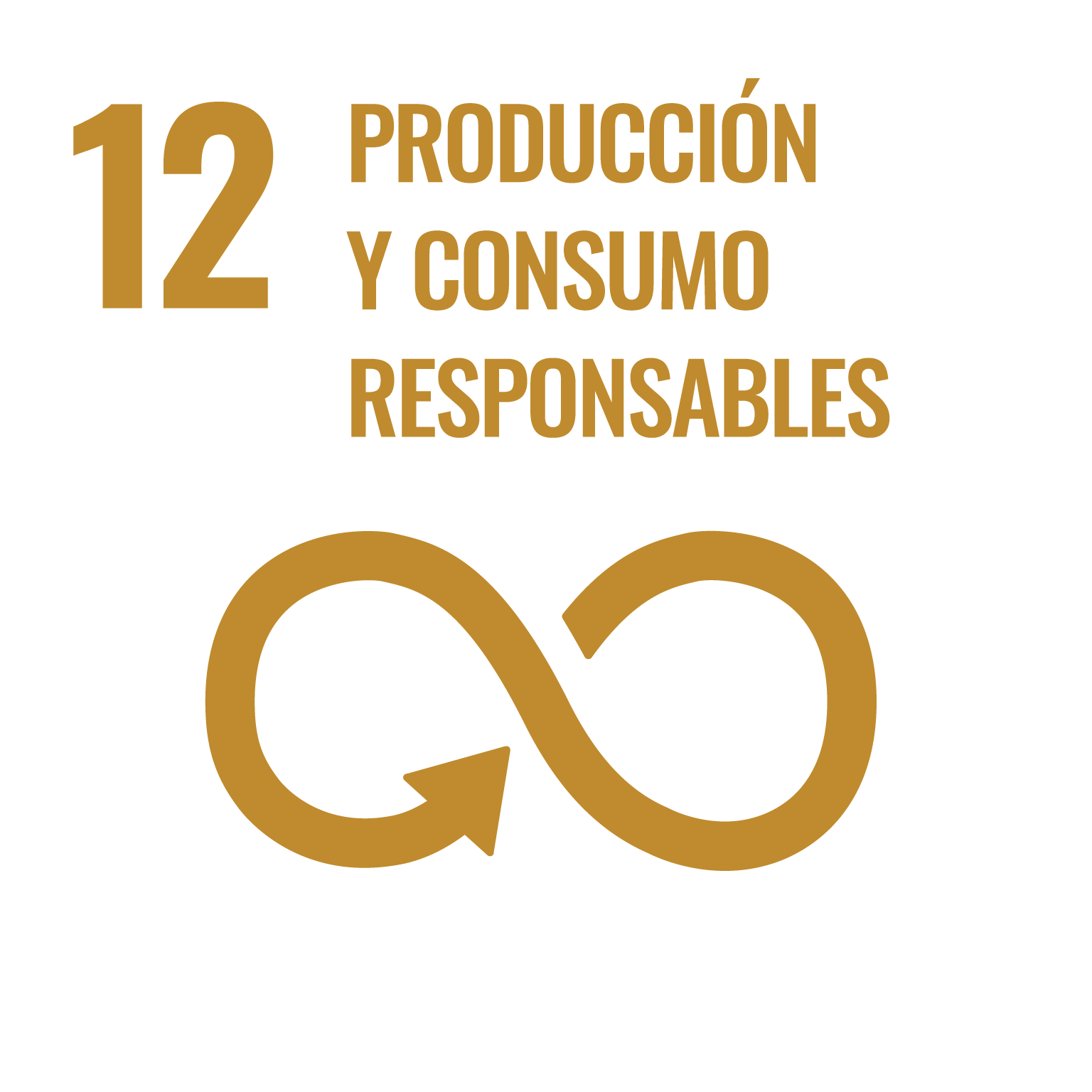 Objetivo 12. Garantizar modalidades de consumo y producción sostenibles